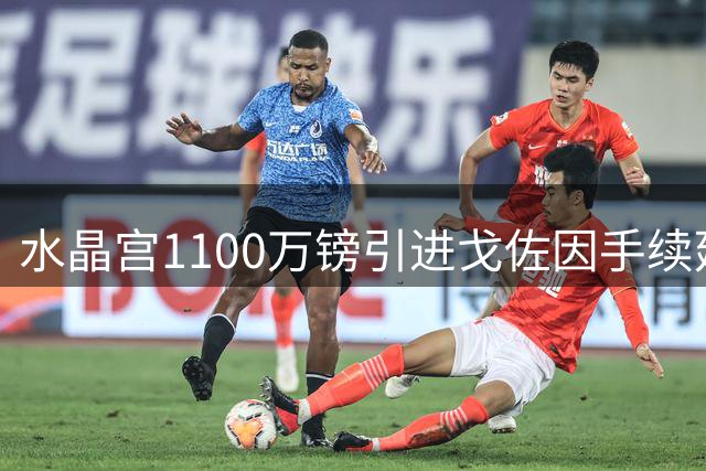 水晶宫1100万镑引进戈佐因手续延误，交易有望近期完成